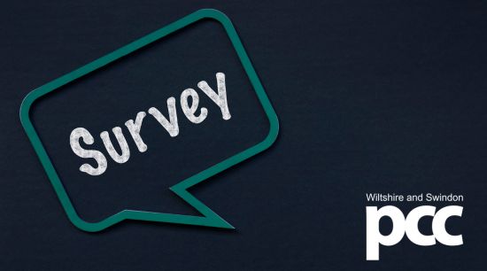 Public Consultation Surveys